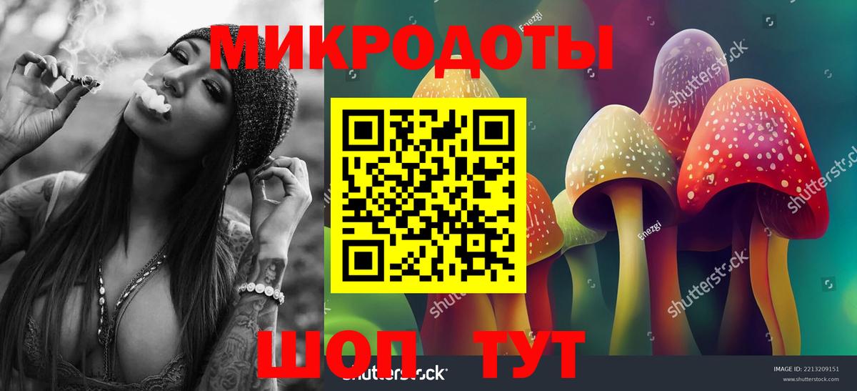 Зима  Галлюциногенные грибы мицелий  Псилоцибиновые грибы ЛСД  где продают наркотики  Вход с VPN 