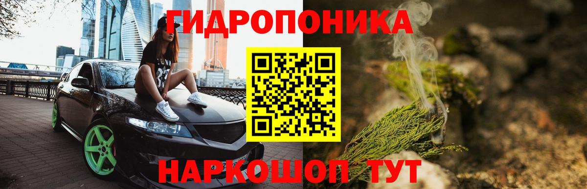 Каннабис планчик  Бошки марихуана MAZAR  Каннабис SATIVA & INDICA  Вход с VPN  Зима 
